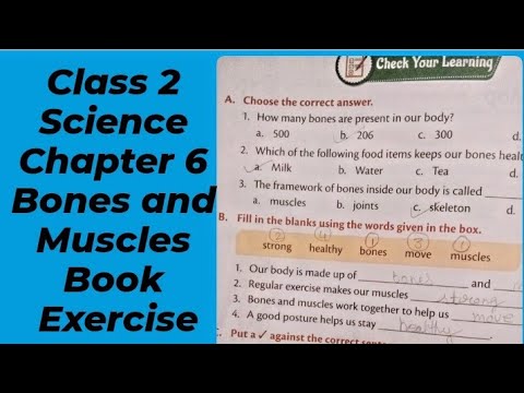 Class 2 | Science Chapter 6 Bones and Muscles | Book Exercise |