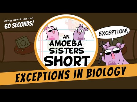 Biology and Its Fascinating Exceptions  - Amoeba Sisters #Shorts