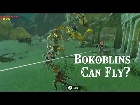 Bokoblins Can Fly!