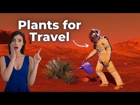 Preparing Your Plants for Travel: Tips for Healthy Returns