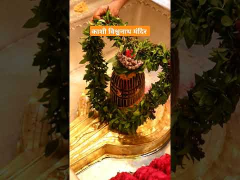 काशी विश्वनाथ मंदिर बनारस