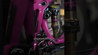 Mountain Bike ASMR 🤤 $8,000 Pivot Shadowcat #mtb