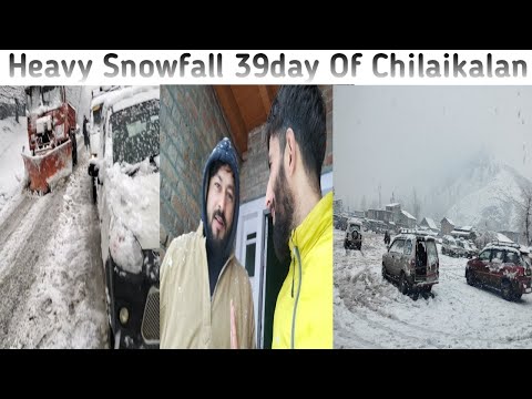 Heavy Snowfall 39day Of Chilaikalan At Valley