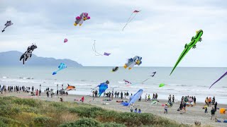 Thousands enjoy the Otaki Kite Festival in New Zealand