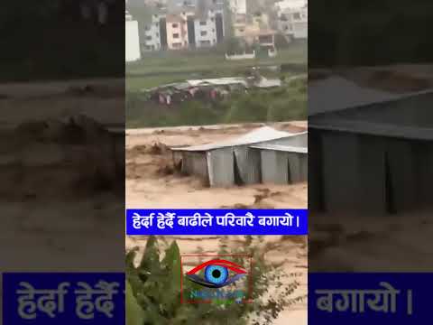 हेर्दा हेर्दै बाढीले परिवारै बगायो  Live vedio viral