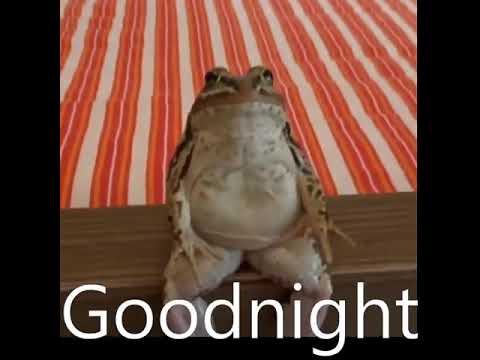 Frog going to sleep