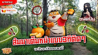 เว็บตรง สล็อตPG ของแท้ ไม่ล็อคยูส สล็อตแตกง่าย | Fortune Tiger : ส้มมาเต็มหน้าแบบ3ทีติดๆ