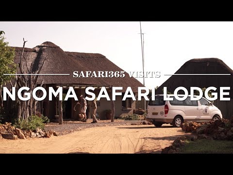 Ngoma Safari Lodge, Chobe National Park | Safari365