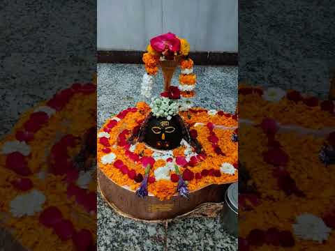 Mahadev ka Aashirwad aap sabhi per banaa rahe ❤️❤️🙏🏻🙏🏻🚩🚩🚩 ❤️❤️❤️❤️