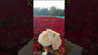 Khirai 2025 | khirai flower garden #ytshorts #shorts #youtubeshorts