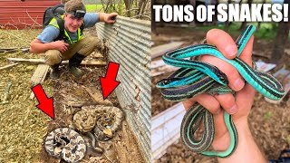 We Found The Rattlesnake Den! - Insane Louisiana Tin Flipping