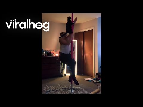 Cat and Its Owner Pole Dancing at Home || ViralHog