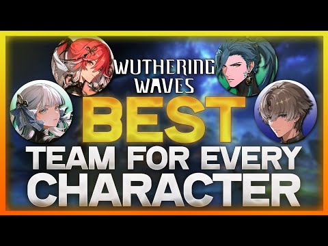 The Best Team For EVERY Character | Wuthering Waves