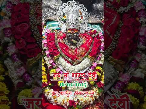 Maa Raj Rajeswari Jay Mata Di #maihar