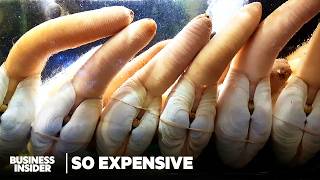 Why Geoducks Are So Expensive | So Expensive | Business Insider