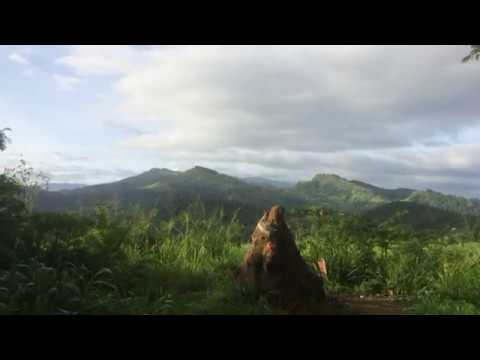 Doggy Destinations - Kitulmulla, Sri Lanka