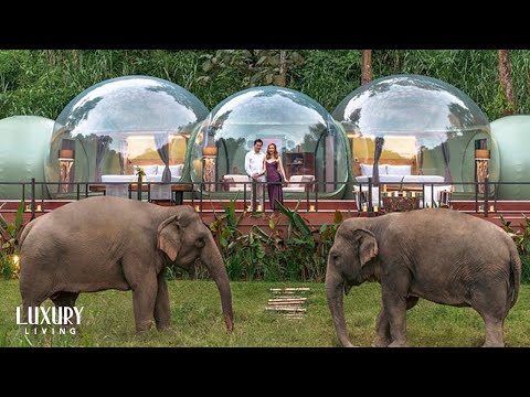 Stay at a Resort with Elephants | Worlds Most Incredible Hotels