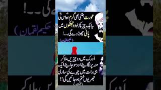 #i4ilam #tiktokfactflowurdu #pti #mrshifzasaeed #merahammraz #youtubeshorts #urdu #ytshortsvideo