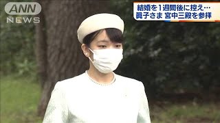 結婚を1週間後に控え・・・　眞子さま　宮中三殿を参拝(2021年10月19日)