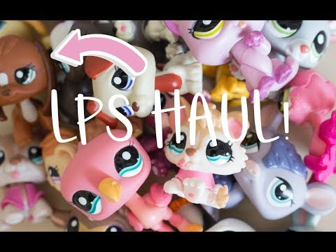 LPS Haul! 20+ rare old LPS!