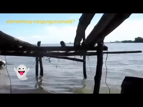 Lamang tubig na elemento na kumukursunada? ⚫ A 2020 COMPILATION ⚫