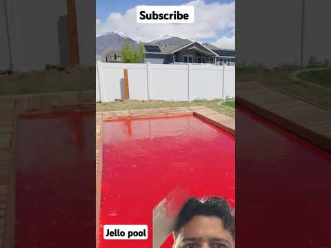 World's largest jello pool #pool #howto #summer #jello #shorts #markrober