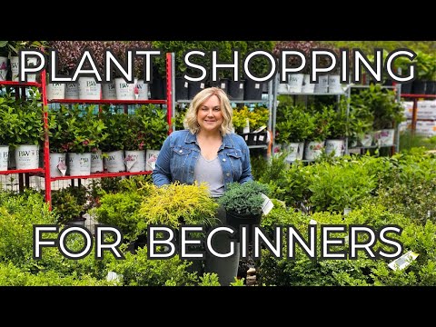 Plant Shopping for Beginners: Which Shrubs and Perennials Do I Buy? Tips & Garden Center How To's