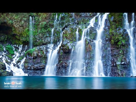 Calm Your Mind for 2 Minutes and Take a Brain Break | Mindfulness and Presence | Daily Dose of Zen