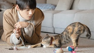 古川雄輝主演、猫とシェアハウスのドラマが映画化決定！劇場版『ねこ物件』超特報