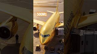 Amazing Golden Plane Airlines #monsty #squidgame2 #squidgame3 #flight