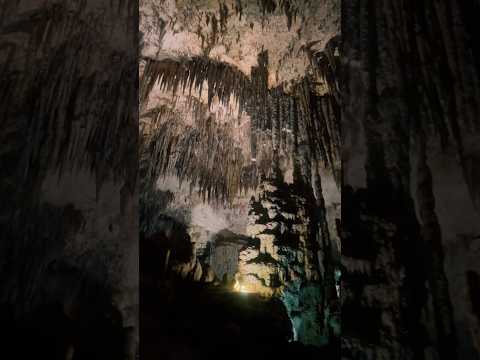 EXPLORING CAVES #mexico #caves #fy #travel #nature