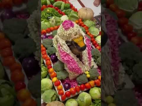 🚩शिव भक्त है तो लाइक और सब्सक्राइब करें🚩