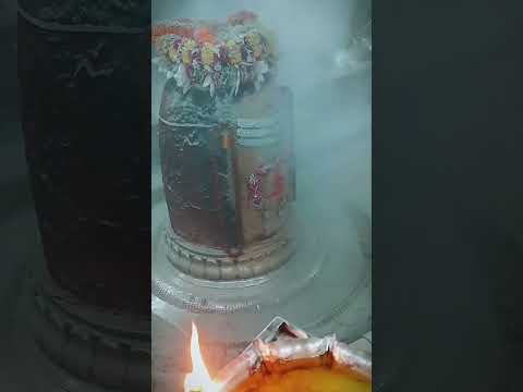 Ujjain_Mahakal_Aarti_Darshan | Jay_Shree_Mahakal #mahakal #mahadev #shorts