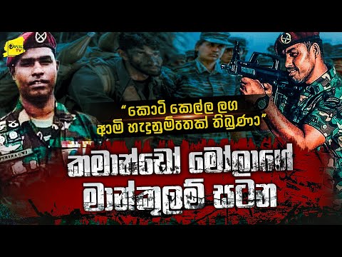 කොටි බැටෑලියට දොඹෙන් නෙලූ කමාන්ඩෝ ‌මෝලාගේ බිහිසුණු මතකය | WANESA TV