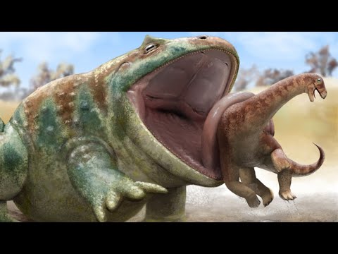 The Prehistoric Frog That Preyed On Dinosaurs