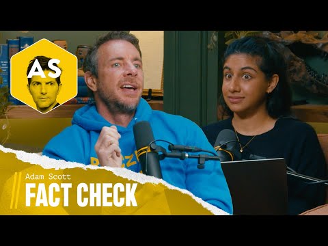 Detroit Football Team, Adam Scott, A Modest Tattoo Proposal  | Fact Check from Adam Scott