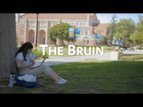 "The Bruin"