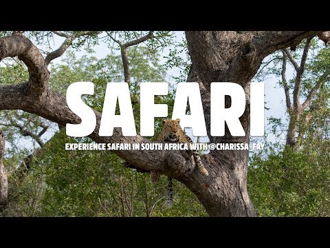 Set Out On South African Safari with Charissa Fay