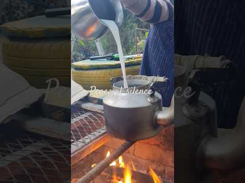 Satya dreams chaser#kitchen garden #bone fire#fun in life#organicfarming #masti#ytshorts