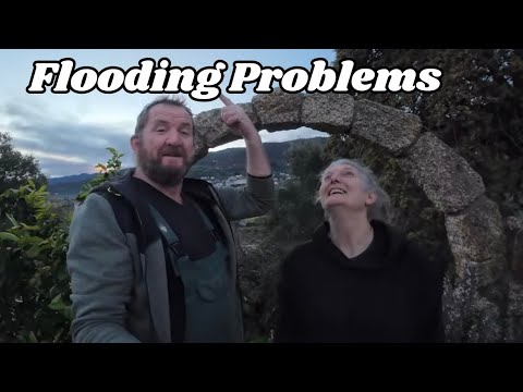 Trying to cope with floodwater 239