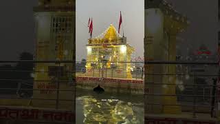 Chhath Puja celebration in Kolkata*#kolkata #chhathpuja #bihar #chhathmahaparv #kolkatadiaries