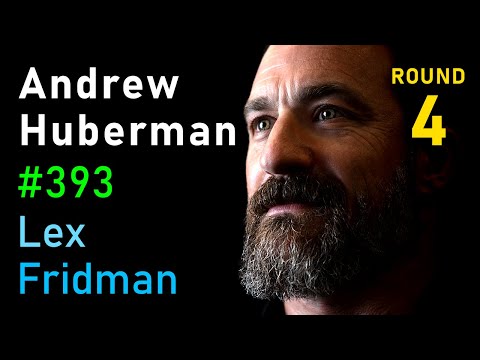 Andrew Huberman: Relationships, Drama, Betrayal, Sex, and Love | Lex Fridman Podcast #393