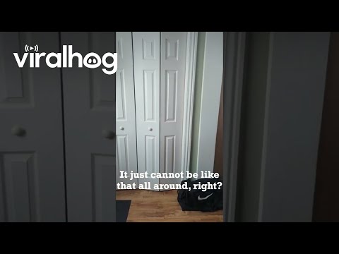 Historic Storm Buries Home Up To Door Knobs In Snow || ViralHog