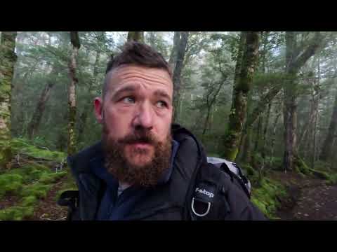 New Zealand Landscape Photography | Lush Rainforests In Fiordland