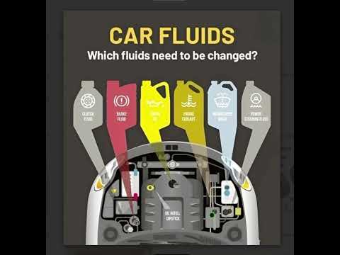 Car fluid / Type of which fluid to be changed ?