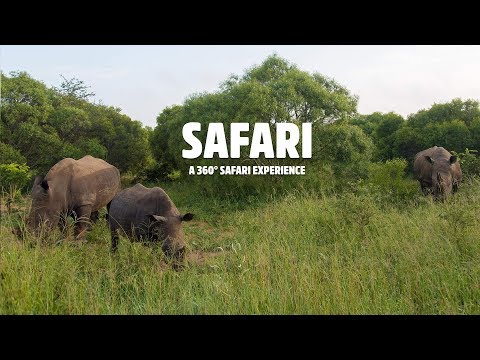 All Sides Of South African Safari