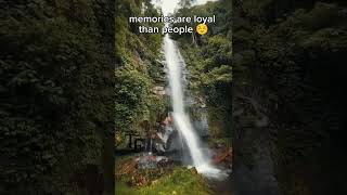 #Memories #Loyalty #LifeLessons #WaterfallVibes #NatureLover #DeepThoughts #HeartbreakQuotes