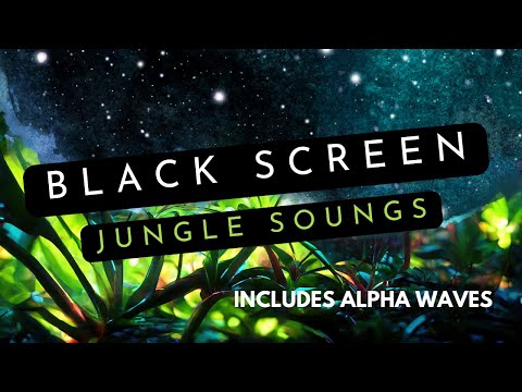 NO ADS | Pure Rainforest Sounds for Sleeping | Alpha Waves 8 Hz