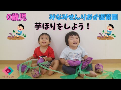 【0歳児】芋ほりをしよう！