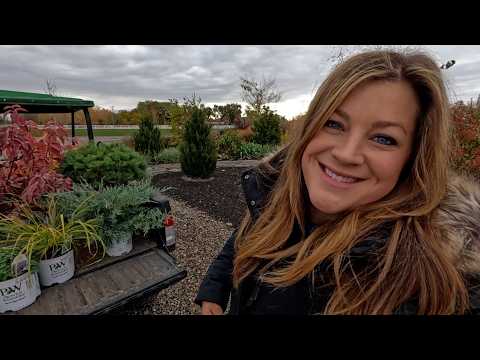 Beautiful Plants for Fall & Winter Interest! 🌲🍂🌾 // Garden Answer